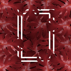 Leaves background and square note shaped with red monstera leaves. Copy space for text , nature flat lay concept.