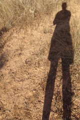 Silhouette of a man on sunny grass