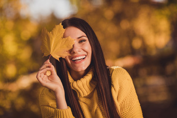 Close up photo of positive cheerful girl nature lover enjoy travel fall park grove laugh close cover eye face maple yellow leaf wear jumper pullover