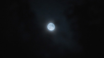 Moon with foreground tree 7