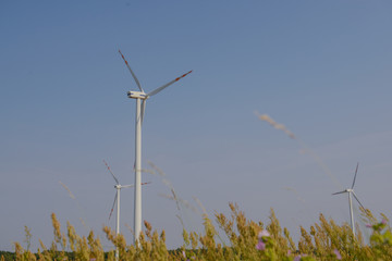 Windturbine at sunny day