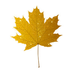 Glitter autumn maple leaf