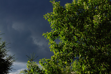 Obraz premium Nature Environment Dark cloud sky. Thunderstorm and hurricane clouds