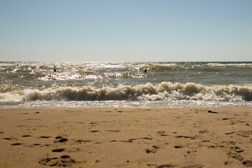 People swimming in the rough sea. View from the sandy beach