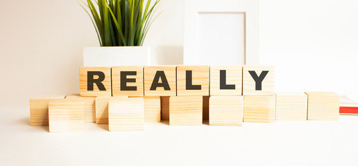 Wooden cubes with letters on a white table. White background with photo frame and house plant.