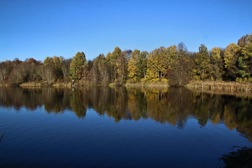 A view of Alderford lake  in Shropshire with reflection