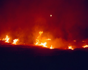 Burning the fields, Sjælland, /k