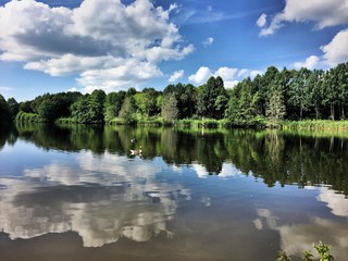 A view of Alderford lake  in Shropshire with reflection
