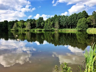 Obraz na płótnie Canvas A view of Alderford lake in Shropshire with reflection