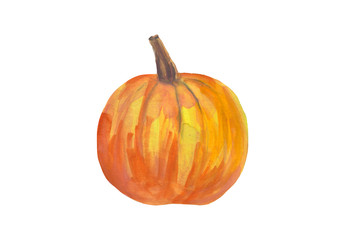 Hand-dawn water color pumpkin