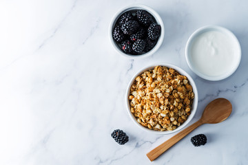 Nuts oatmeal granola with berries in a bowl