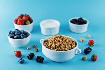 Nuts oatmeal granola with berries in a bowl