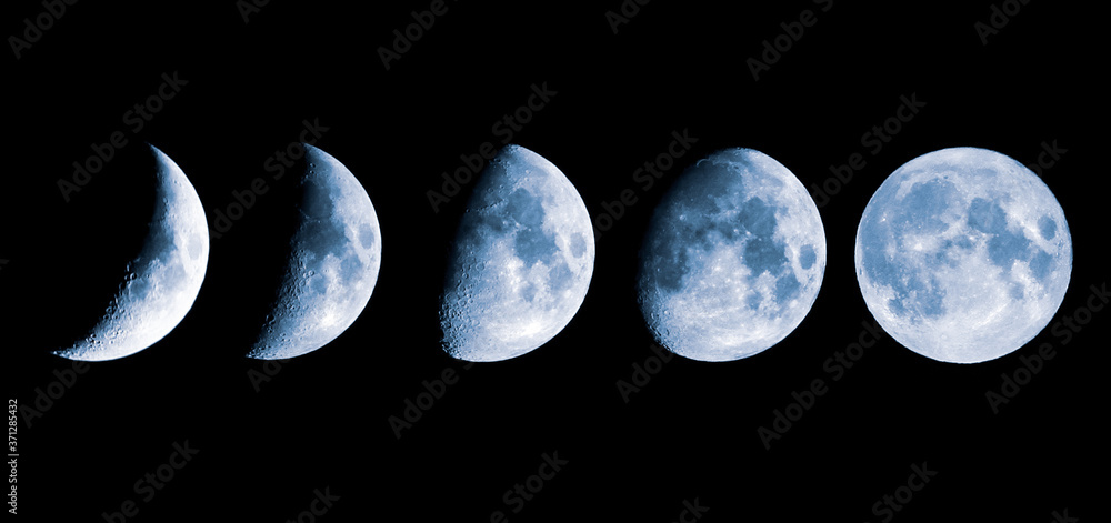 Wall mural growing phases of the moon in 5 steps.
