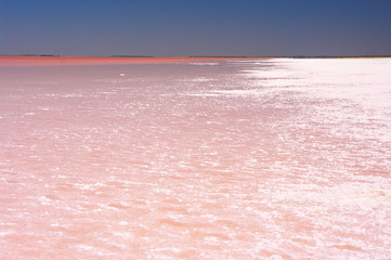Pink salt lake