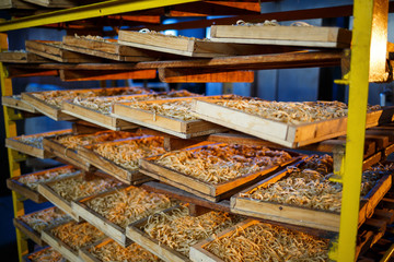 Raw pasta, spaghetti and noodles lie on a shelf in a wooden box at the factory. Making pasta. Close-up. horizontal