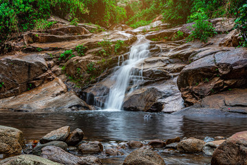 Water fall in forest with green tree nature