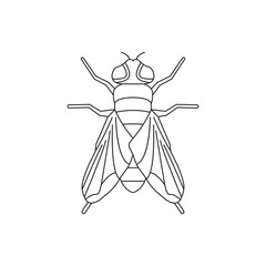 Fly, housefly, insect line icon isolated on white background. Vector illustration