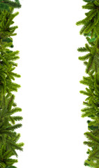 Branches of a Christmas tree isolated on a white background. Vector pine tree decoration template. Christmas frame illustration. Christmas tree branches background vertical