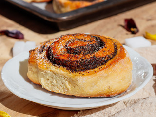 One poppy seed cinnamon roll on a saucer, close-up side view.