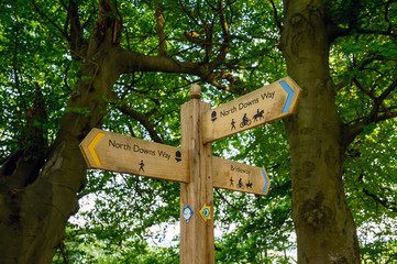A sign on the North Downs Way near Woldingham in Surrey, England, UK. The North Downs is part of...
