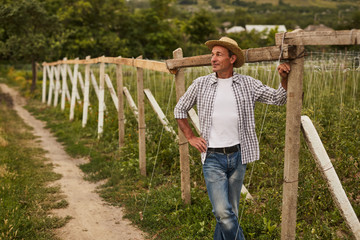 Mature rancher resting on farm