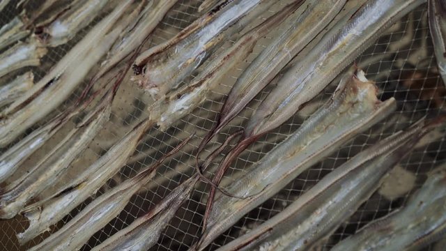 Drying fish under the sun