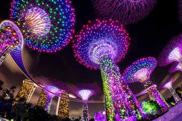 Fisheye view of the dazzling night lights at Singapore's Gardens by the Bay at Marina Bay