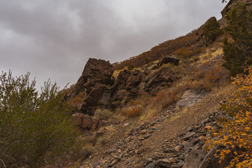 Fototapeta na wymiar Utah mountain trail 35
