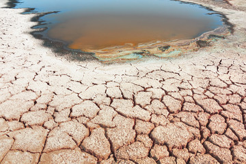 The drought, the dried-up pond, the cracked and salted earth, the remains of water in a muddy puddle. Background image of the concept of global warming.Selective focus.