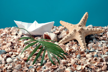 Paper boat on a placer of shells, starfish.