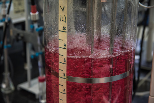 test tubes with water