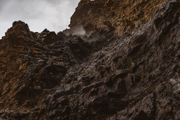 Utah mountain trail 20