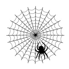 Obraz premium Character element for Halloween: Vector web and spider on a white background. Cartoon creepy design. Vector illustration.