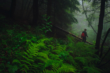 Female Hiker in misty green summer mountains. Adventure photo.