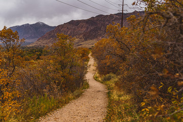 Utah mountain trail