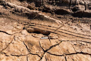 a cigarette butt on a dry dirt road. the problem of throwing cigarette butts and debris out of cars