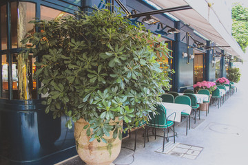 a summer cafe on the streets of Paris