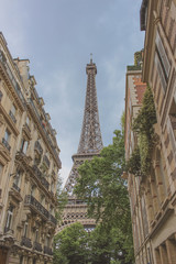 eiffel tower paris france. old houses of france overlooking the eiffel tower
