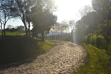 caminho de pedra, céu, árvores, portão, sol, plantação,  quietude, paz, teia de aranha, natureza