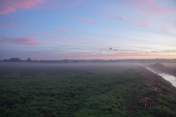 Flying swans against beautiful sunset