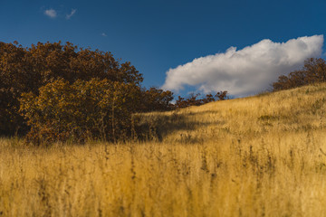 Obraz premium Utah mountains 19