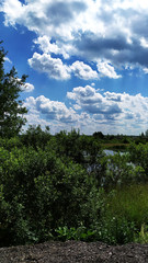 Landscape. Blue sky with white clouds over a pond and forest.