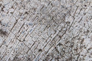 Abstract Old Cement Wall for texture background