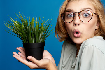 Beautiful woman in shirt with green flower in a pot on blue background cropped view