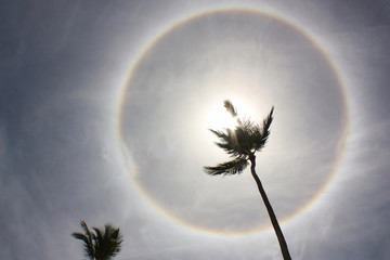 A Sun Halo formed by Ice Crystals in the caribbean - Powered by Adobe