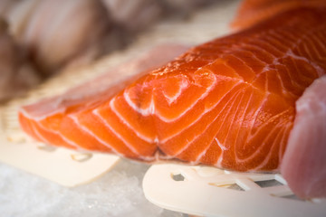 Fresh Fish Fillet Slices at the Market