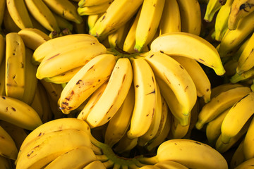 Cluster of Fresh Natural Bananas at the Market