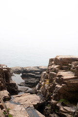 Foggy morning, Ocean Path hike, Acadia National Park, Bar Harbor,Maine, USA.