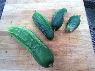 Homegrown cucumbers on shitty cutting board