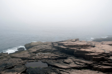 Fototapeta premium Foggy morning during Ocean Path hike, Acadia National Park, Bar Harbor,Maine, USA.